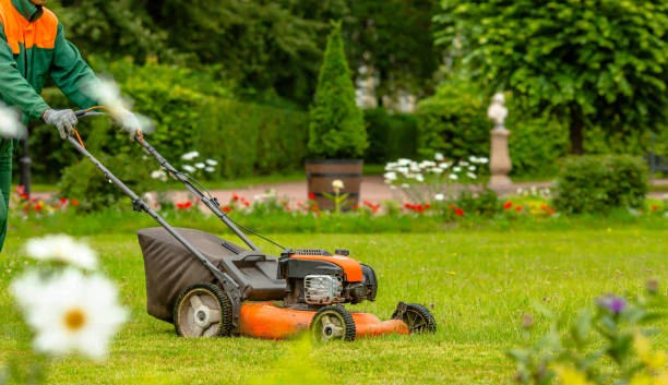 Paisagismo e Jardinagem